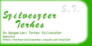 szilveszter terhes business card